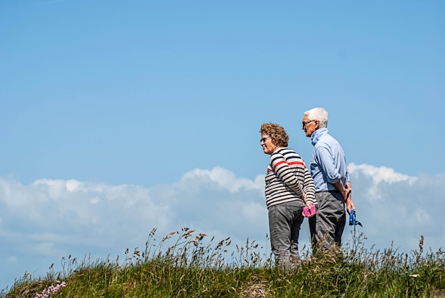 Melvexoria galéria 1