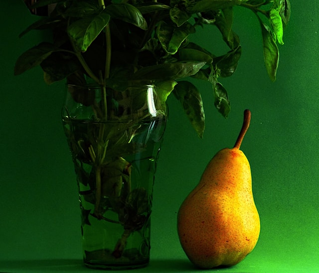 Melvexoria galéria 3